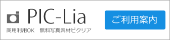 ピクリアご利用案内