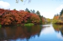 軽井沢・雲場池と紅葉の写真素材01