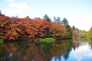 軽井沢・雲場池と紅葉の写真素材03