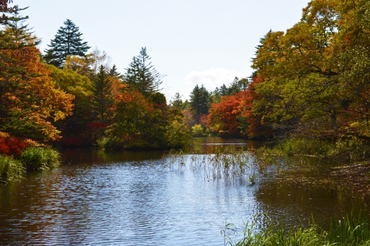 軽井沢・雲場池と紅葉の写真素材06