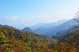 紅葉の山の写真素材02