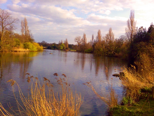 イギリスの公園の写真素材01