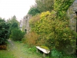 イギリスの庭の写真素材03