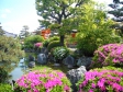 日本庭園の写真素材01