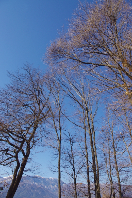 薄っすら雪の積もった山の写真素材01