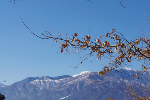 薄っすら雪の積もった山の写真素材03