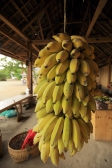 バナナの写真素材