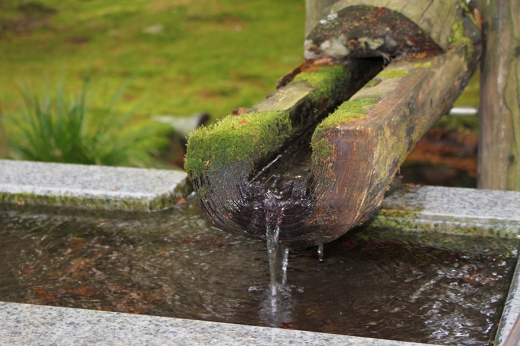 手水舎の水の写真素材05